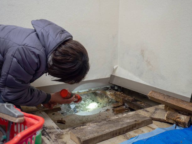 Osceola, WI Mold Removal Company