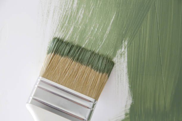 Best Black Mold Removal  in Osceola, WI