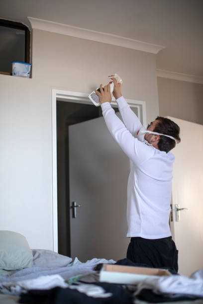 Best Real Estate Mold Inspection  in Osceola, WI