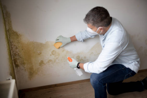 Best Airborne Mold Testing  in Osceola, WI
