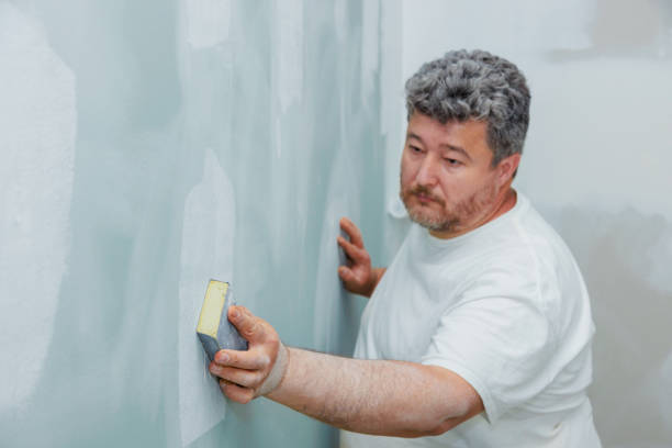 Best Mold Remediation for Healthcare Facilities  in Osceola, WI