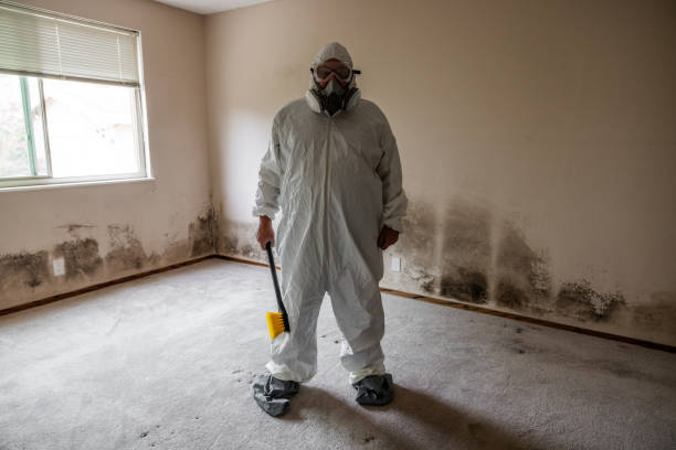 Best Asbestos and Lead Testing During Mold Inspection  in Osceola, WI